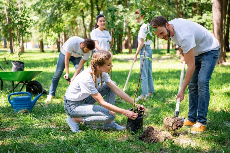 treeplanting